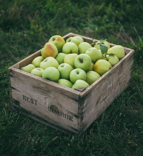 Golden Delicious Apples