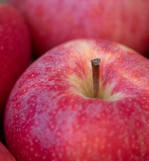 Pink Lady Apples