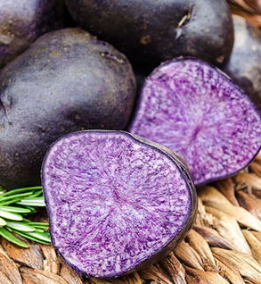 Purple Majesty Potatoes