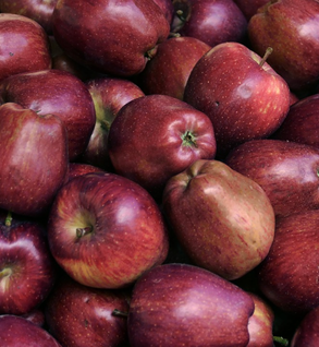 Red Delicious Apples