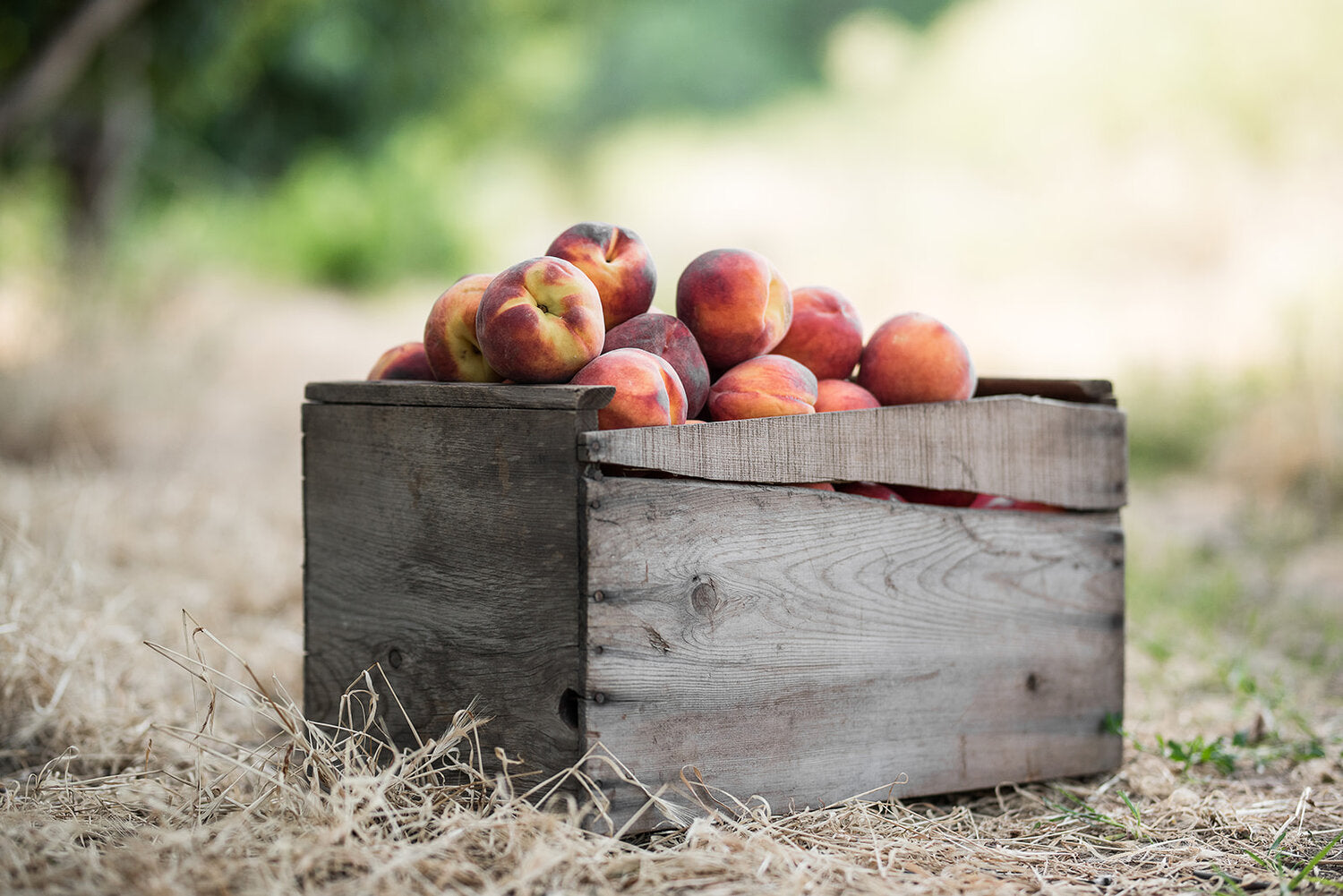 Peaches