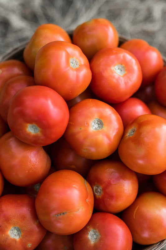 Tomatoes