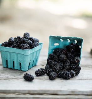 Blackberries