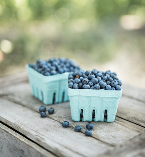 Blueberries