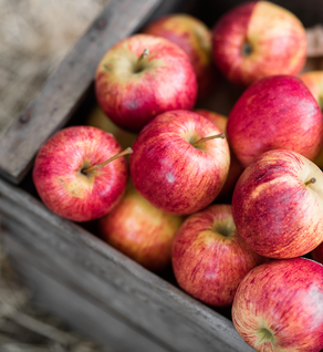 Gala Apples