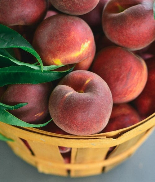 Sierra Rich Peach